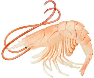 

Safari Ltd Ic Shrimp(Multicolor)