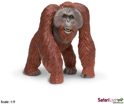 

Safari Ltd Ww Bornean Orangutan(Multicolor)
