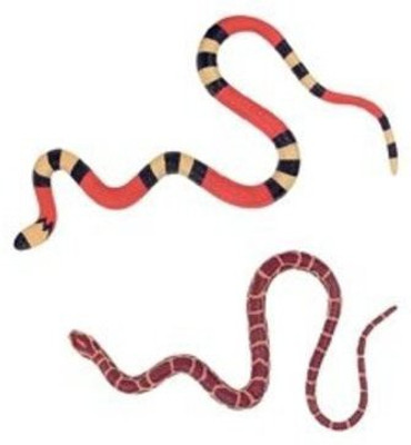 

Play Visions Mega Stretch Snake Assorted(Multicolor)