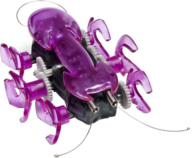 

Hex-Bug Ant(Purple)