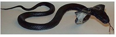 

MameJo Young King Cobra Lifesize Rubber 36 Inches(Black)