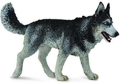 

Collecta Collect A Dogs & Cats Siberian Husky(Multicolor)