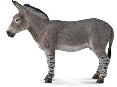 

Collecta Wildlife African Wild Donkey 88664(Multicolor)