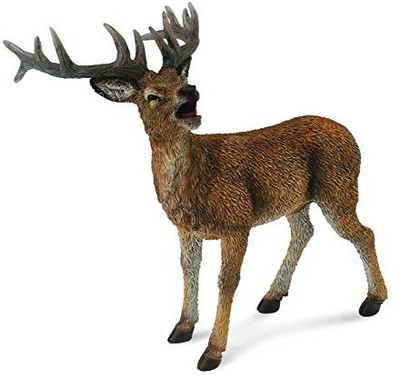 

Collecta Red Deer Stag(Multicolor)
