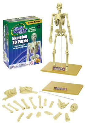 

Wild Republic Science Kit Human Skeleton(Beige)