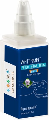 The Natures Co Watermint After Shave Balm(100 ml)