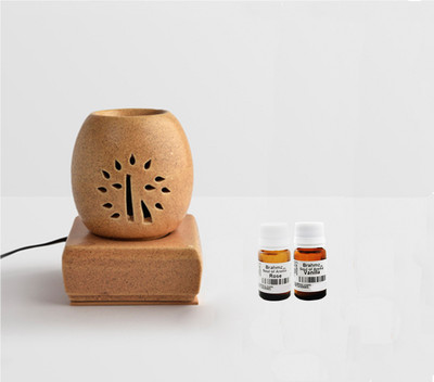 Brahmz Rose / Vanilla Aroma Oil, Diffuser Set(20 g)