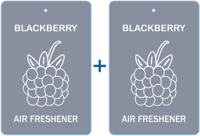 

Edelcrafts Blackberry Car Freshener(15 g)