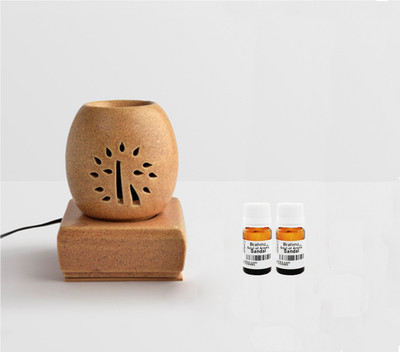 

Brahmz Sandal / Sandal Aroma Oil, Diffuser Set(20 g)