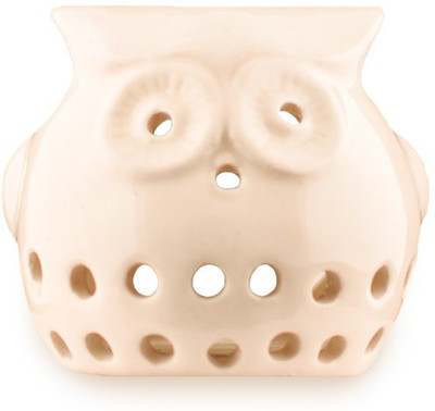 

Yes No NA Diffuser(200 g)