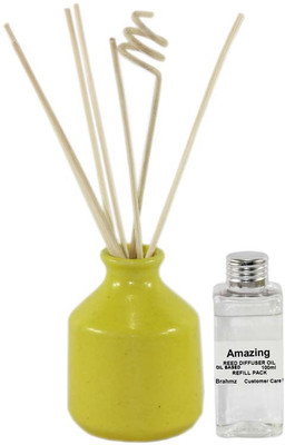 

Brahmz Amazing Aroma Oil, Diffuser Set(100 ml)