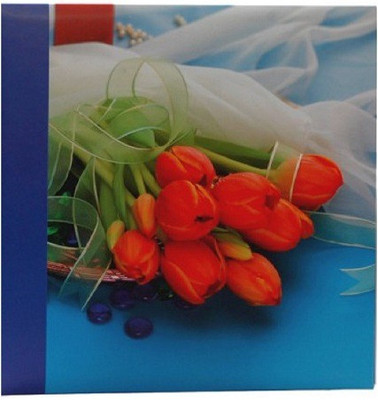 

Natraj Super Photo Bigger (Auto) 35 Sheets 12 X 13 Album(Photo Size Supported: 3 X 5, 4 X 6, 5 X 7 inch)