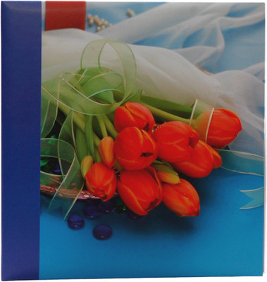 

Natraj 200 Pocket 5 X 7 inch Album(Photo Size Supported: 5 X 7 inch)