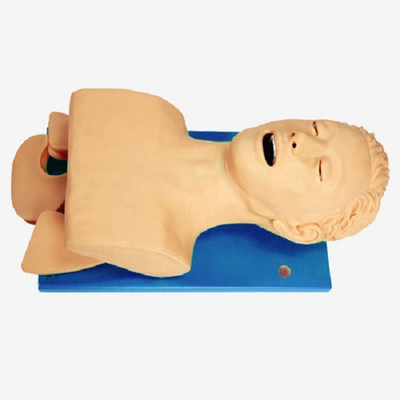 

mLabs GD/J5S Anatomical Body Model(Electronic Tracheal Intubation Simulator PVC Model)