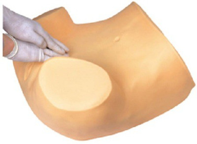 

mLabs GD/F30S Anatomical Body Model(Gynecological Examination Simulator PVC)