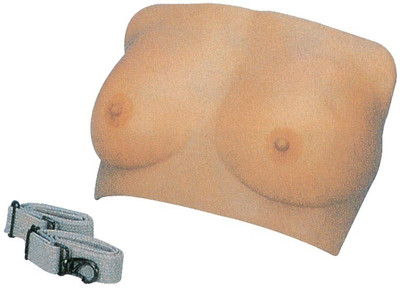 

mLabs xc-418 Anatomical Body Model(Breast Examination PVC)