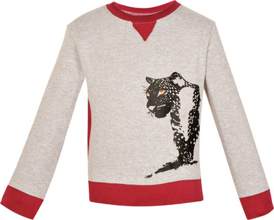 

Gkidz Full Sleeve Printed Boys Sweatshirt, Grey