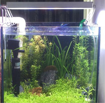 

BTREE Multicolor LED Aquarium Light(Freshwater Planted Tank)