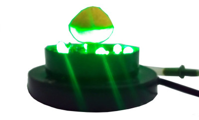 

Eugene Green LED Aquarium Light(Freshwater Fish Tank)