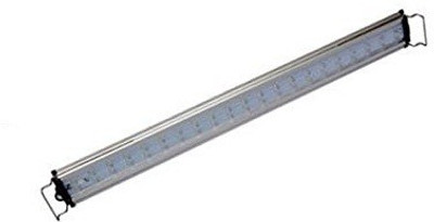 

Sunsun White LED Aquarium Light(Freshwater Planted Tank, Freshwater Planted Tank)