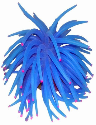

Pets Planet PPFATTEFCBL003 Aquarium Plant Anchor({Plant Anchors1)