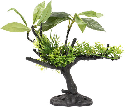 

Jainsons Pet Products Laterite Planted Substrate(Green)