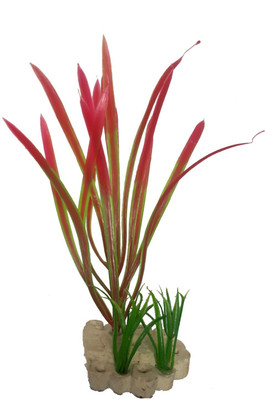

SRI Laterite Planted Substrate(Red, Green)