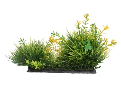 

Jainsons Pet Products Laterite Planted Substrate(Green)