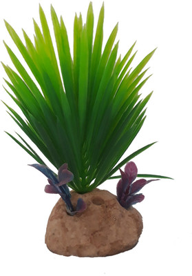 

SRI Laterite Planted Substrate(Green)