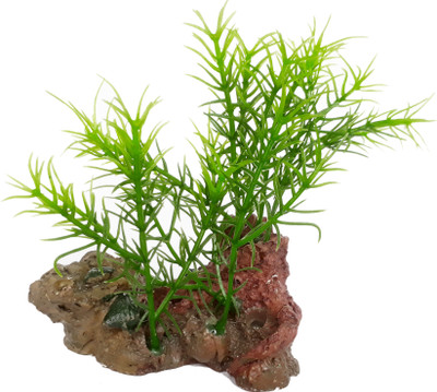 

SRI Fish Aquarium Decorative Green Artificial Plastic Plant Laterite Planted Substrate(Green)