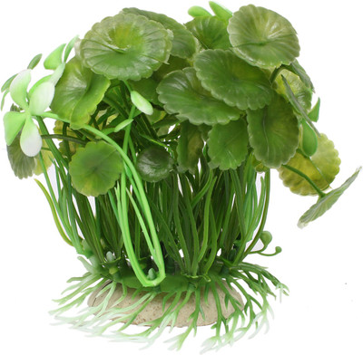 Jainsons Pet Products Laterite Planted Substrate(Green)