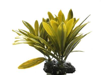 

Quality Traders Potting Soil Planted Substrate(Green)