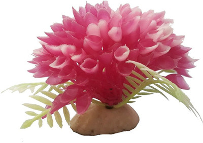 

SRI Laterite Planted Substrate(Pink)