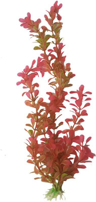 

SRI Fish Aquarium Decorative Orange Green Artificial Plastic Plant- Laterite Planted Substrate(Green, Orange)