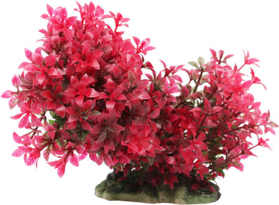 

Jainsons Laterite Planted Substrate(Multicolor)