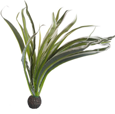 

SRI Laterite Planted Substrate(Green)
