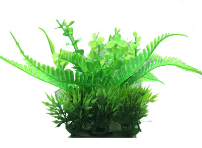 

Quality Traders Potting Soil Planted Substrate(Green)