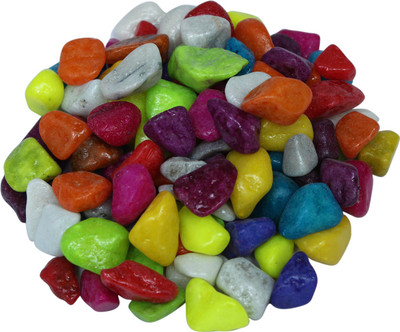 

Jainsons Decorative Pebbles Stones River Rock Unplanted Substrate(Multicolor)