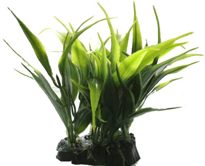 

Quality Traders Potting Soil Planted Substrate(Green)