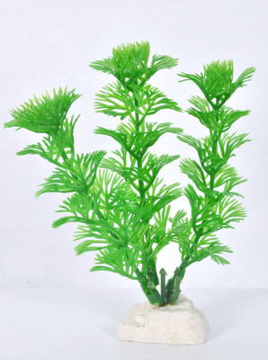 

Aquapetzworld Gravel Unplanted Substrate(Green)