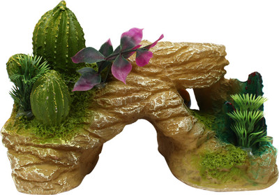

Jainsons Cactus on Sea Rock Ornament Laterite Unplanted Substrate(Multicolor)