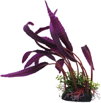 

Jainsons Fish Tank Decorative Items Laterite Planted Substrate(Multicolor)