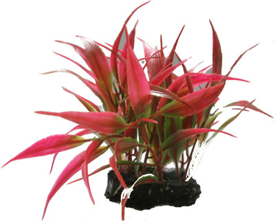 

Quality Traders Potting Soil Planted Substrate(Red)