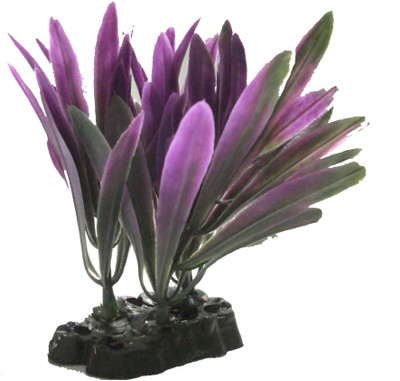 

Quality Traders Potting Soil Planted Substrate(Multicolor)