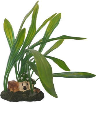 

SRI Laterite Planted Substrate(Green)