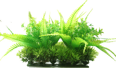 

Quality Traders Potting Soil Planted Substrate(Green)