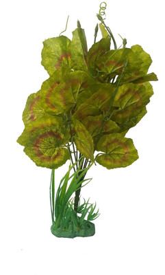 

SRI Laterite Planted Substrate(Green)