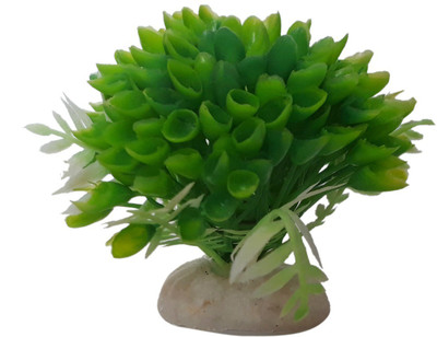 

SRI Laterite Planted Substrate(Green)