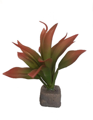 

SRI Laterite Planted Substrate(Green)