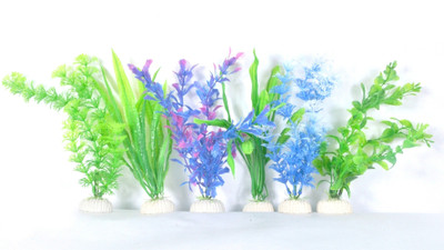 

Aquapetzworld Gravel Unplanted Substrate(Multicolor)